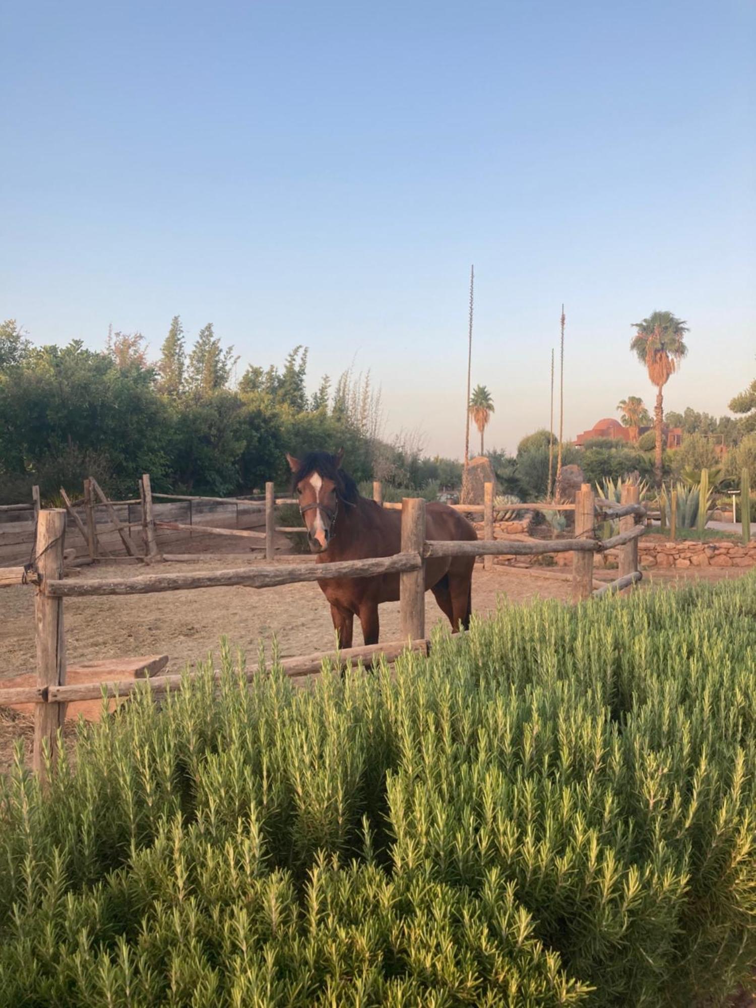 Aït Hamid Fellah Hotel מראה חיצוני תמונה